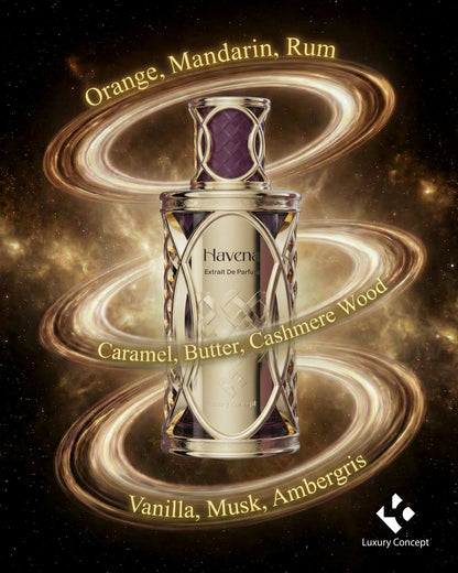 Havena luxury fragrance featuring orange rum caramel vanilla musk and cashmere wood notes in a refined amber composition from Luxury Concept